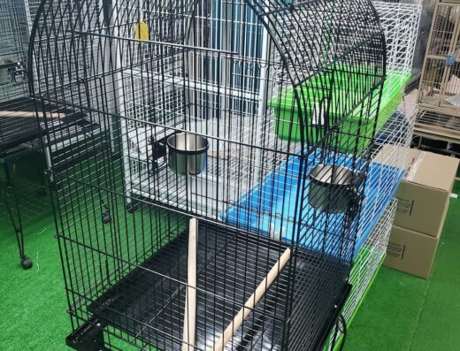 Agrocentro Camarones