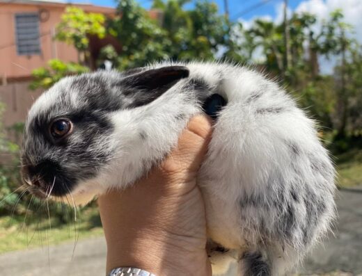 Agrocentro La Sierra INC.