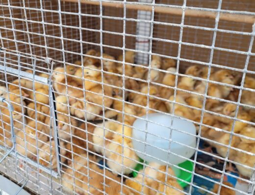 Centro Agricola y Pet Shop