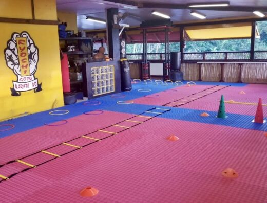 RYOSHI KARATE ACADEMY
