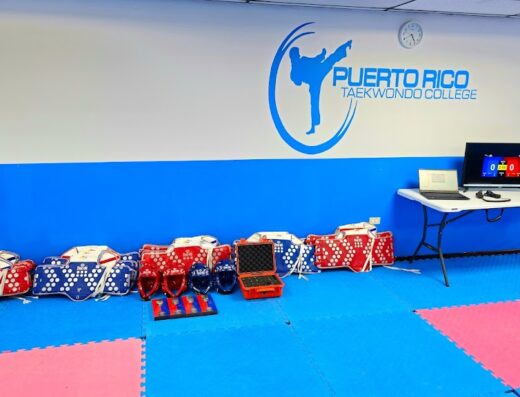Puerto Rico Taekwondo College