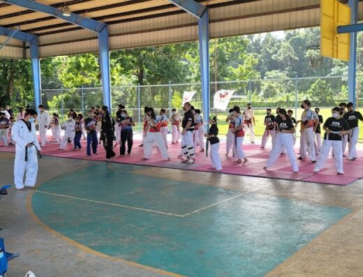 Arecibo Taekwondo Academy