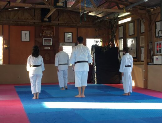 Puerto Rico Dento Karate Do