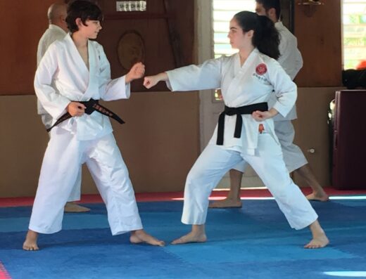 Puerto Rico Dento Karate Do