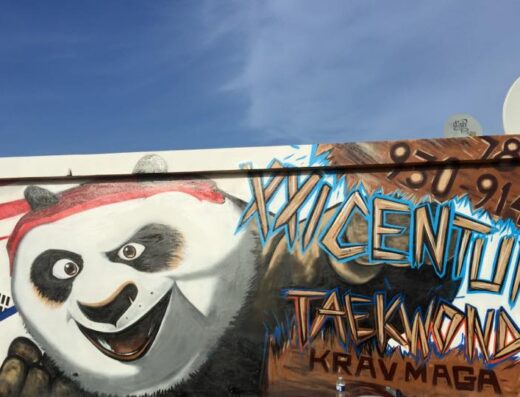 XXI Century Taekwondo & Krav Maga Academy