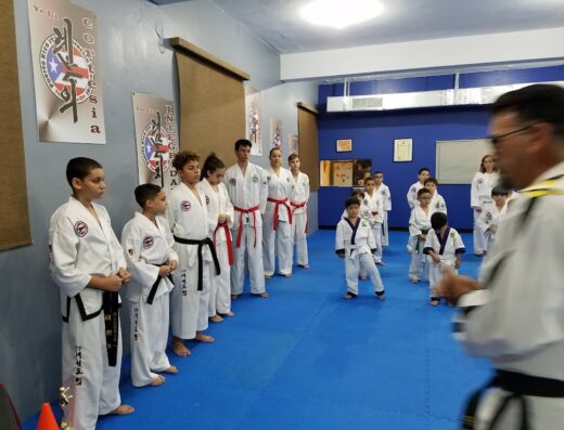 Guerreros Taekwon-Do