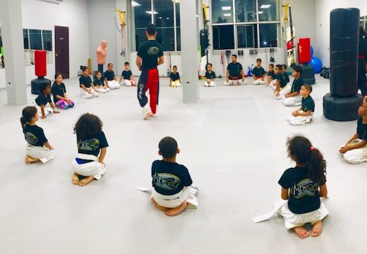 MIKpro Karate / KickBox