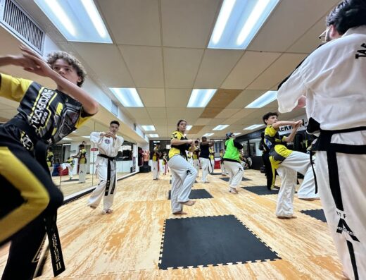 Family Taekwon-Do Bayamon