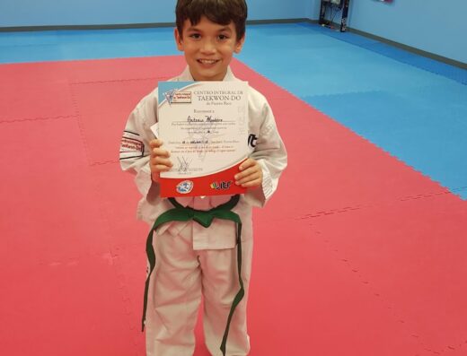 Centro Integral De Taekwondo De Puerto Rico