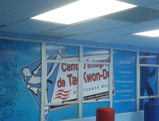 Centro Integral De Taekwondo De Puerto Rico
