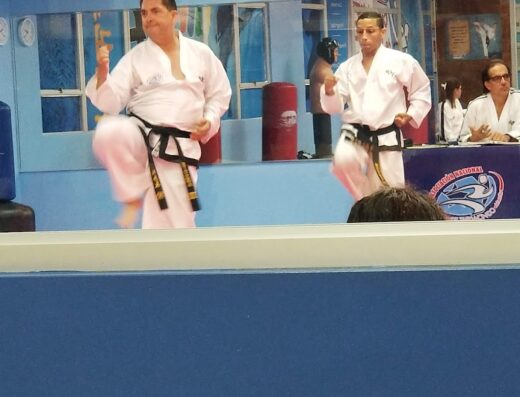 Centro Integral De Taekwondo De Puerto Rico