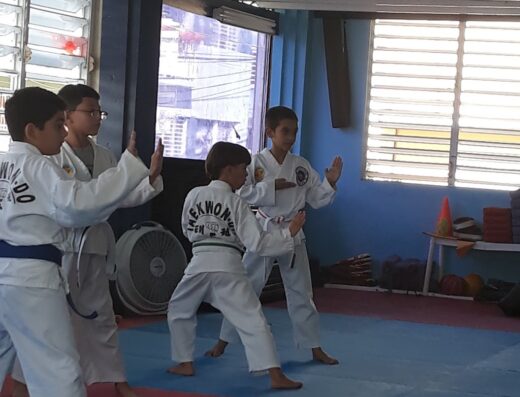 Professional Taekwondo Center