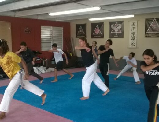 Academia de Artes Marciales de Carolina (AAMPR)