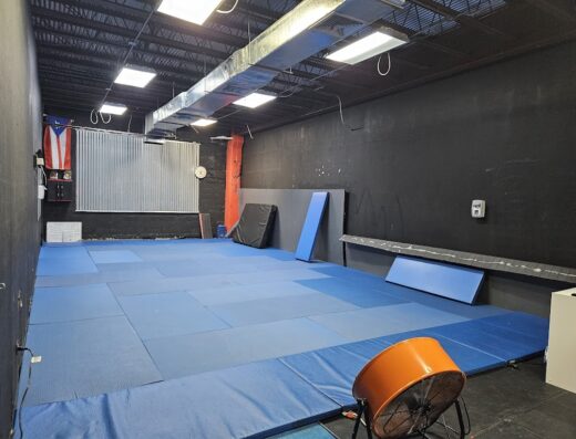 Bujutsu Dojo