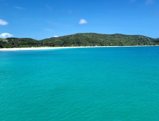 Culebra Beach Flamenco