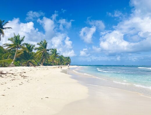 Culebra Beach Flamenco