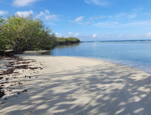 Playa Dátiles