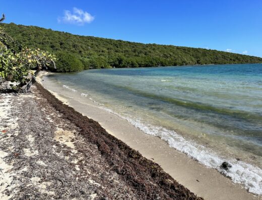 Playa de MamaLuz Beach