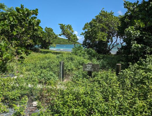 Playa de MamaLuz Beach