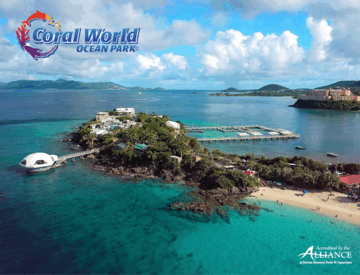 Coral World Ocean Park