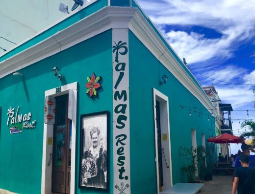 Palmas El Rincón De Paco