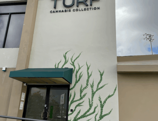 Turf Cannabis Collection