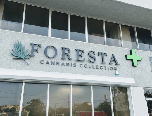 Foresta Cannabis Collection