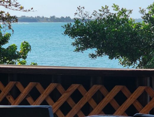 El Jefe Burger Shack And Mojito Factory