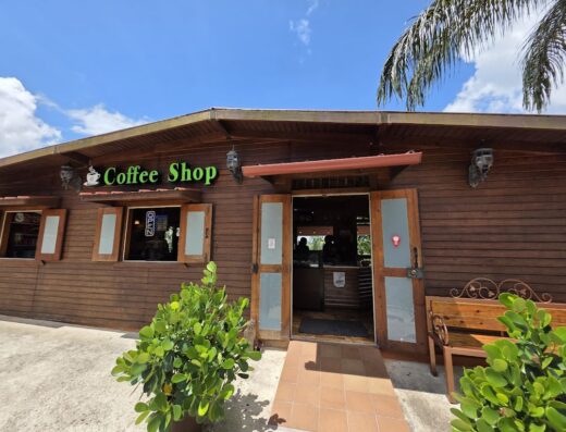 Café Lareño Torrefacción / Coffee Shop