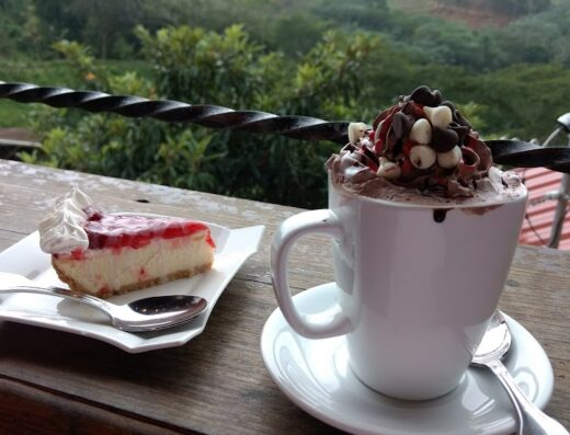 Café Lareño Torrefacción / Coffee Shop