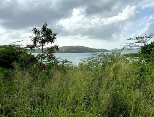 RE/MAX Classic Puerto Rico