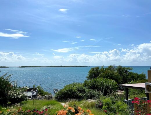 RE/MAX Classic Puerto Rico