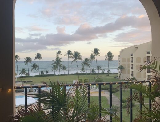 Palmas Luxury Living Realty Group