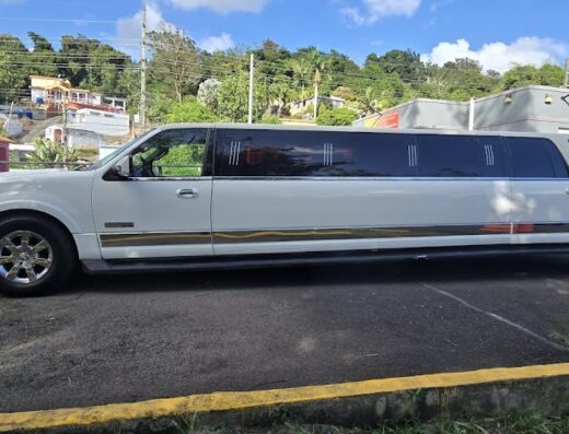 Manny Limousine and Party Bus