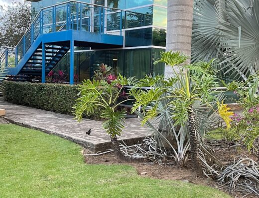 Caparra Country Club