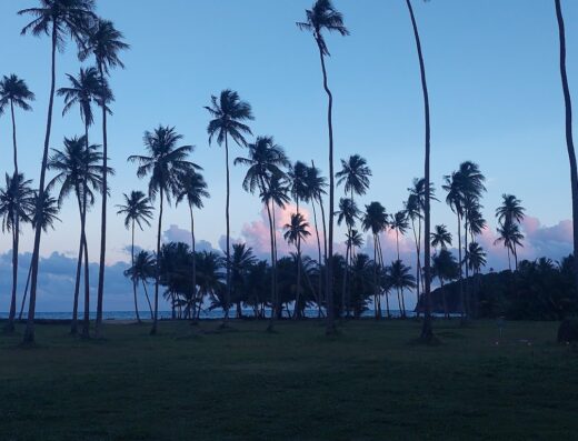 Playa Lucia Disc Golf Course