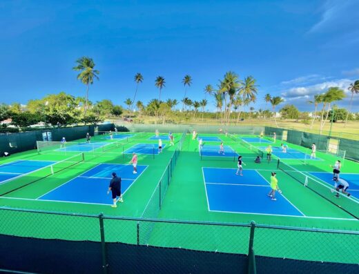 Driving Range Golf Pro & Pickleball Court