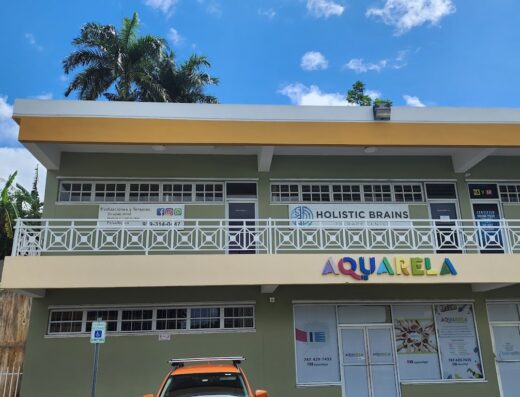 Holistic Brains Therapy Center