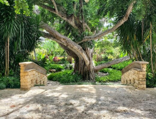 The Ritz Carlton Reserve SPA Botánico