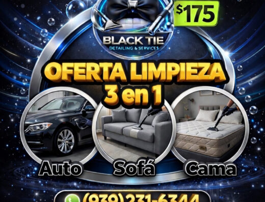 Oferta Limpieza 3 x 1